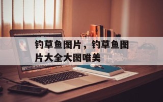 钓草鱼图片，钓草鱼图片大全大图唯美