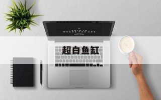 超白鱼缸