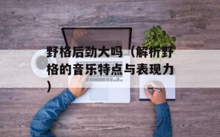 野格后劲大吗（解析野格的音乐特点与表现力）