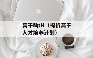 高干NpH（探析高干人才培养计划）