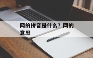 网的拼音是什么？网的意思