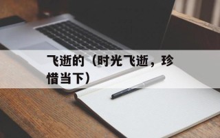 飞逝的（时光飞逝，珍惜当下）