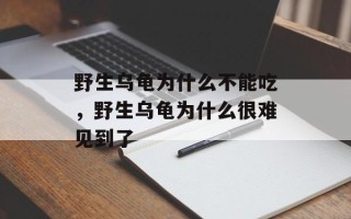 野生乌龟为什么不能吃，野生乌龟为什么很难见到了
