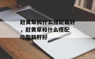 赶黄草和什么搭配最好，赶黄草和什么搭配 吃脂肪肝好