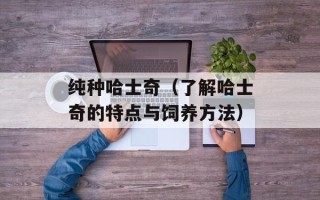 纯种哈士奇（了解哈士奇的特点与饲养方法）