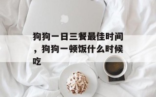 狗狗一日三餐最佳时间，狗狗一顿饭什么时候吃