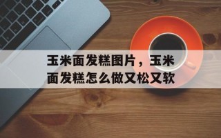 玉米面发糕图片，玉米面发糕怎么做又松又软
