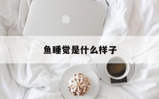 鱼睡觉是什么样子