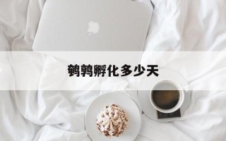 鹌鹑孵化多少天