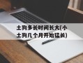 土狗多长时间长大(小土狗几个月开始猛长)