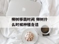 柳树移栽时间 柳树什么时候种植合适