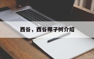 西谷，西谷椰子树介绍