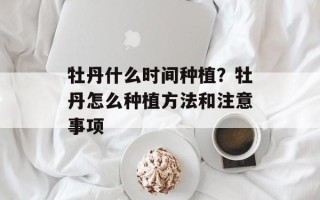 牡丹什么时间种植？牡丹怎么种植方法和注意事项