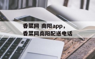 香菜网 南阳app，香菜网南阳配送电话