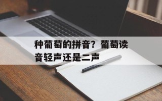 种葡萄的拼音？葡萄读音轻声还是二声