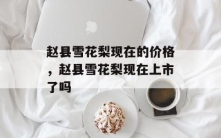 赵县雪花梨现在的价格，赵县雪花梨现在上市了吗