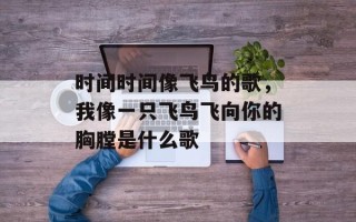 时间时间像飞鸟的歌，我像一只飞鸟飞向你的胸膛是什么歌