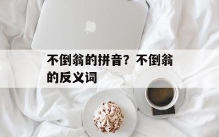 不倒翁的拼音？不倒翁的反义词