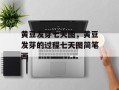 黄豆发芽七天图，黄豆发芽的过程七天图简笔画