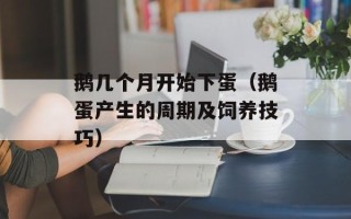 鹅几个月开始下蛋（鹅蛋产生的周期及饲养技巧）