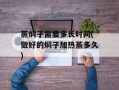蒸焖子需要多长时间(做好的焖子加热蒸多久)