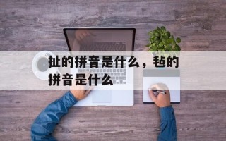 扯的拼音是什么，毡的拼音是什么