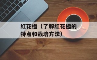 红花楹（了解红花楹的特点和栽培方法）