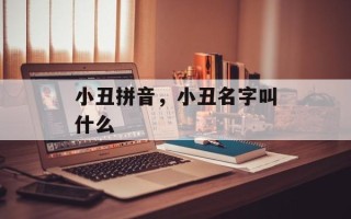 小丑拼音，小丑名字叫什么