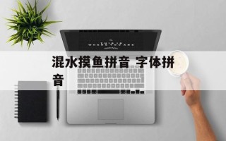 混水摸鱼拼音 字体拼音