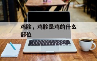 鸡胗，鸡胗是鸡的什么部位