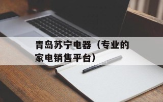 青岛苏宁电器（专业的家电销售平台）