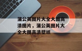 蒲公英图片大全大图高清图片，蒲公英图片大全大图高清壁纸