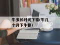 牛多长时间下犊(牛几个月下牛犊)