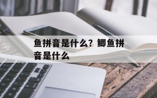 鱼拼音是什么？鲫鱼拼音是什么