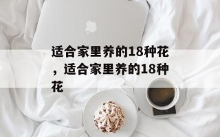 适合家里养的18种花，适合家里养的18种花