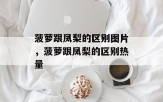 菠萝跟凤梨的区别图片，菠萝跟凤梨的区别热量