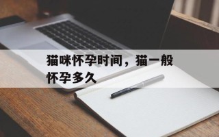 猫咪怀孕时间，猫一般怀孕多久