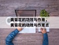 黄菊花的功效与作用，黄菊花的功效与作用点