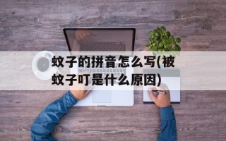 蚊子的拼音怎么写(被蚊子叮是什么原因)