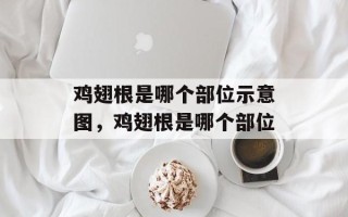 鸡翅根是哪个部位示意图，鸡翅根是哪个部位