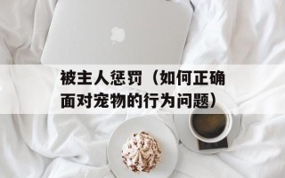 被主人惩罚（如何正确面对宠物的行为问题）