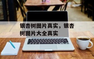 银杏树图片真实，银杏树图片大全真实