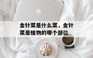 金针菜是什么菜，金针菜是植物的哪个部位