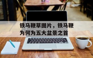 铁马鞭草图片，铁马鞭为何为五大盆景之首