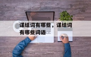 谋组词有哪些，谋组词有哪些词语