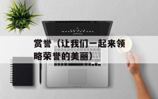 赏誉（让我们一起来领略荣誉的美丽）