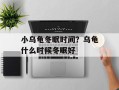 小乌龟冬眠时间？乌龟什么时候冬眠好