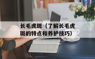 长毛虎斑（了解长毛虎斑的特点和养护技巧）