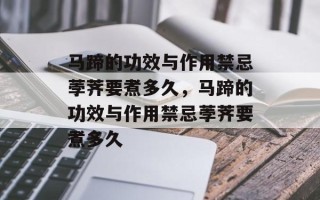 马蹄的功效与作用禁忌荸荠要煮多久，马蹄的功效与作用禁忌荸荠要煮多久