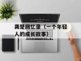 龚楚回忆录（一个年轻人的成长故事）